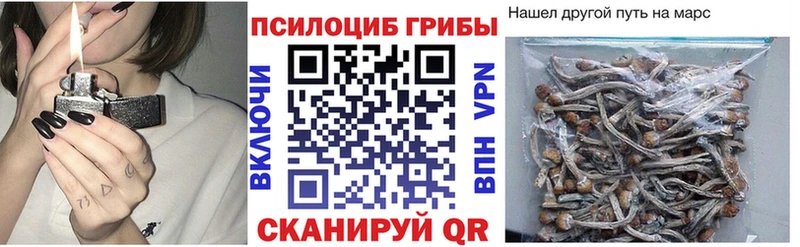 Галлюциногенные грибы Psilocybe  Заводоуковск 